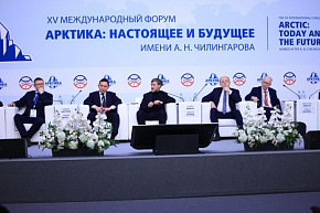 Представители Китая, Кореи, Японии и Индии высказали предложения по развитию международного судоходства в Арктике